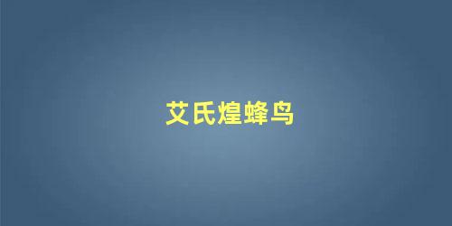 艾氏煌蜂鸟