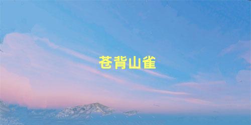 苍背山雀
