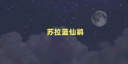 苏拉蓝仙鹟