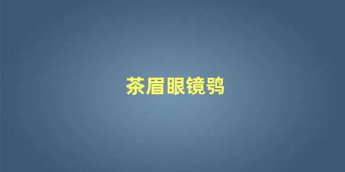 茶眉眼镜鸮