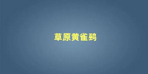 草原黄雀鹀
