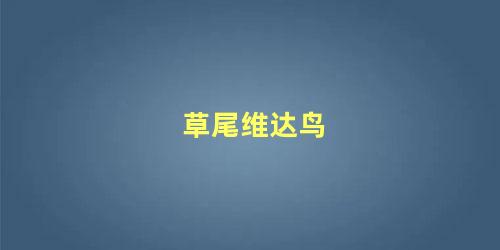 草尾维达鸟