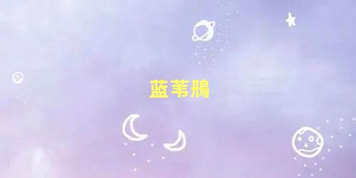 蓝苇鳽