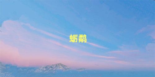 蛎鹬