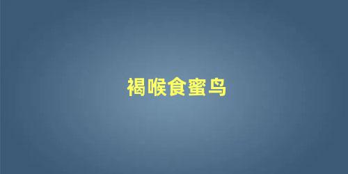 褐喉食蜜鸟