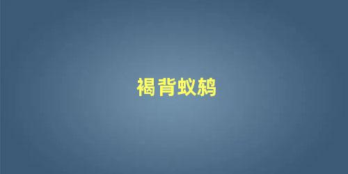 褐背蚁鸫