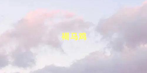 褐马鸡