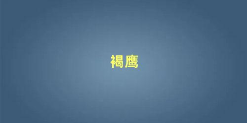 褐鹰
