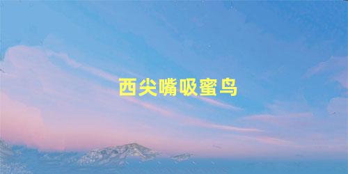 西尖嘴吸蜜鸟