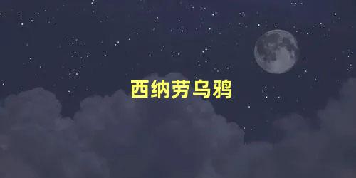 西纳劳乌鸦