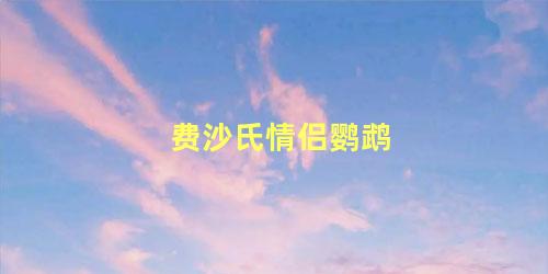 费沙氏情侣鹦鹉