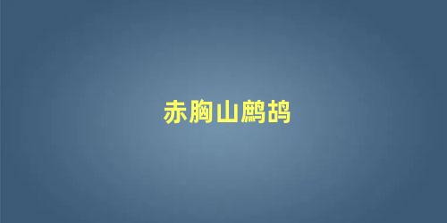 赤胸山鹧鸪