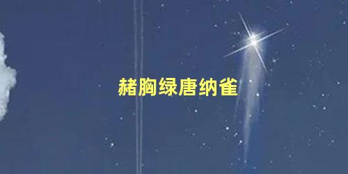 赭胸绿唐纳雀