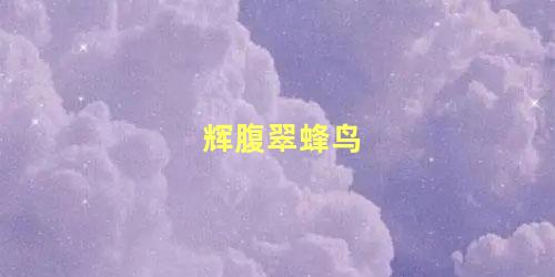 辉腹翠蜂鸟
