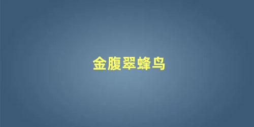 金腹翠蜂鸟