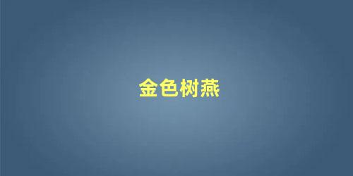金色树燕