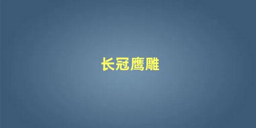 长冠鹰雕