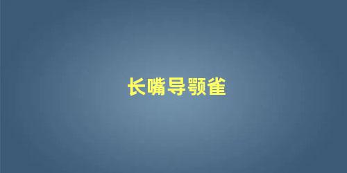 长嘴导颚雀
