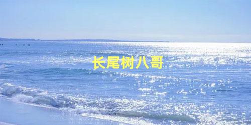 长尾树八哥