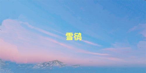 雪鸻