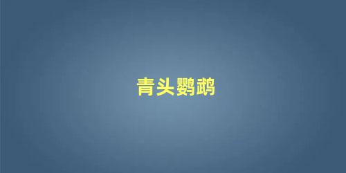 青头鹦鹉