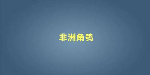 非洲角鸮