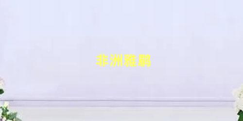 非洲雅鹛