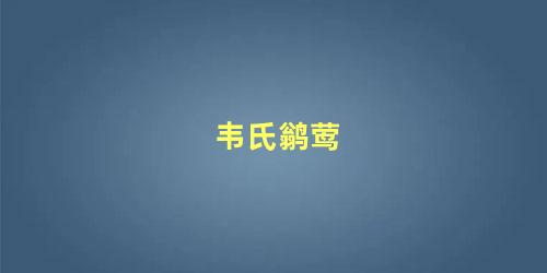 韦氏鹟莺