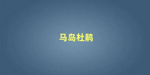 马岛杜鹃