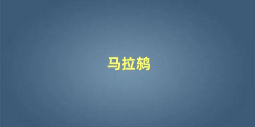 马拉鸫