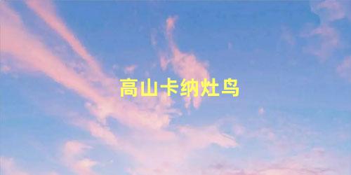 高山卡纳灶鸟