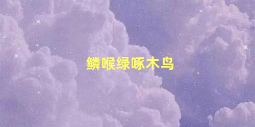鳞喉绿啄木鸟