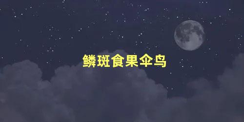 鳞斑食果伞鸟