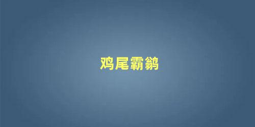 鸡尾霸鹟