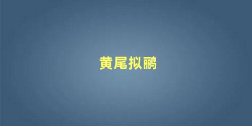 黄尾拟鹂