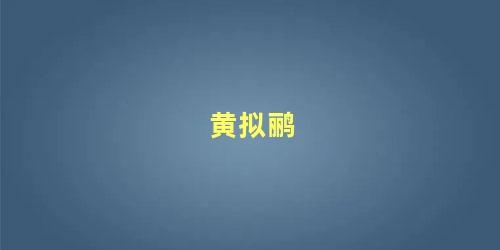 黄拟鹂