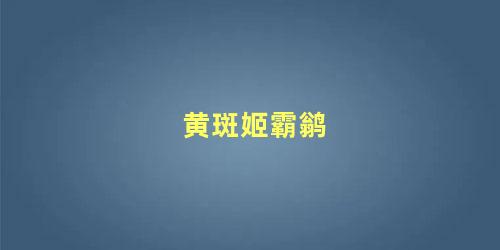 黄斑姬霸鹟