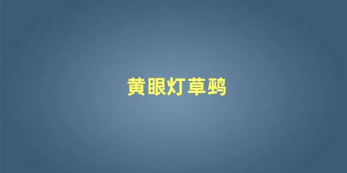 黄眼灯草鹀