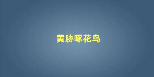 黄胁啄花鸟