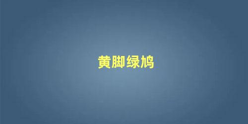 黄脚绿鸠