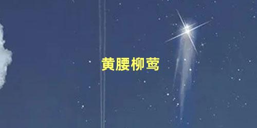 黄腰柳莺