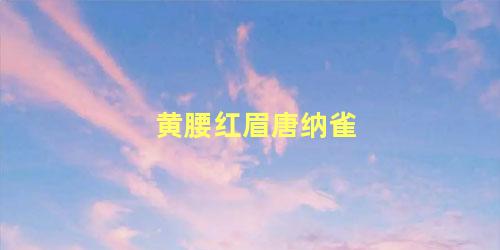 黄腰红眉唐纳雀