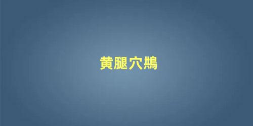 黄腿穴䳍