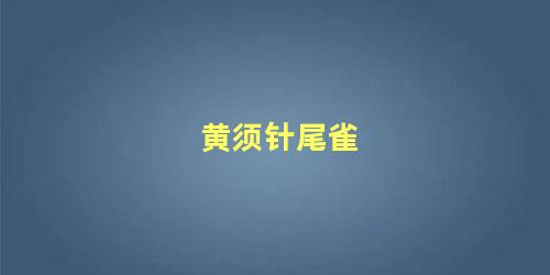 黄须针尾雀