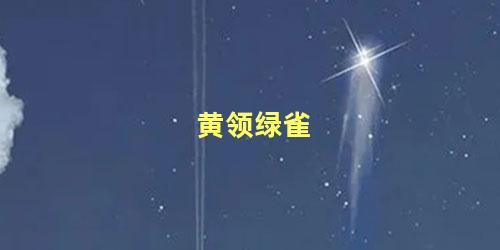 黄领绿雀