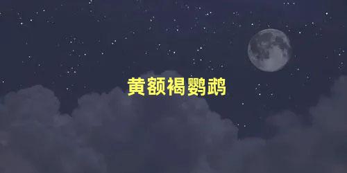 黄额褐鹦鹉