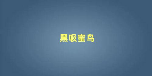 黑吸蜜鸟