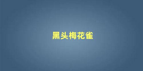 黑头梅花雀