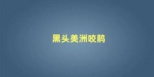 黑头美洲咬鹃