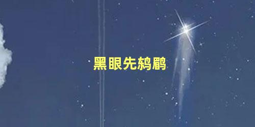 黑眼先鸫鹛
